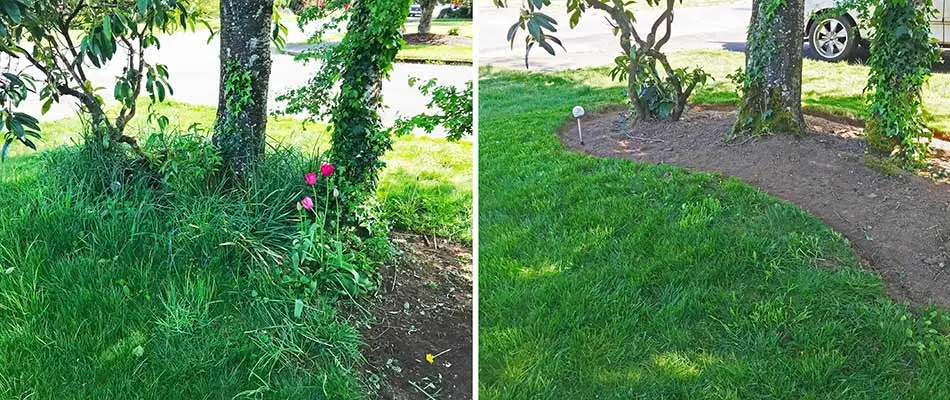 Front Yard Makeover